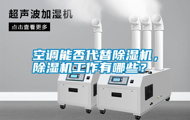 国产精品探花在线观看 空调能否代替除湿机，除湿机工作有哪些？