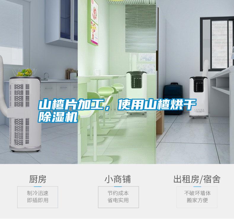 国产精品探花在线观看 山楂片加工，使用山楂烘干除湿机