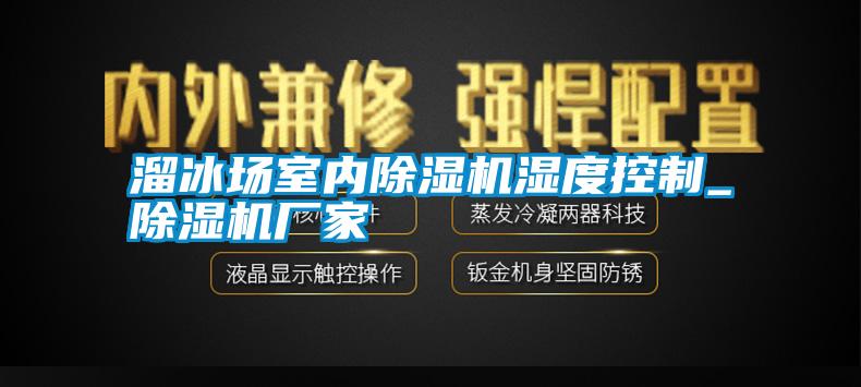 国产精品三级在线观看 溜冰场室内除湿机湿度控制_除湿机厂家