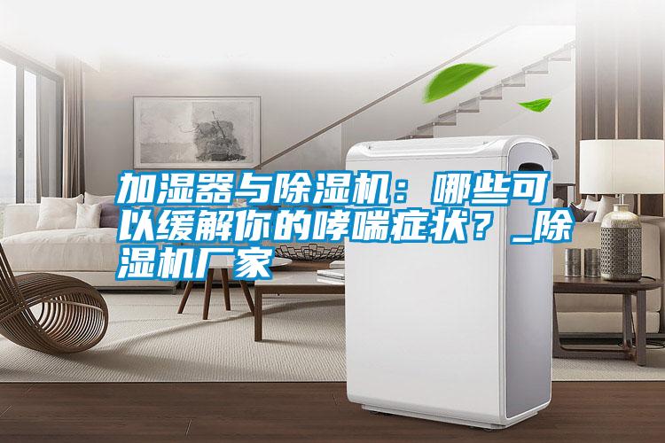 国产精品欧美激情视频 加湿器与除湿机：哪些可以缓解你的哮喘症状？_除湿机厂家