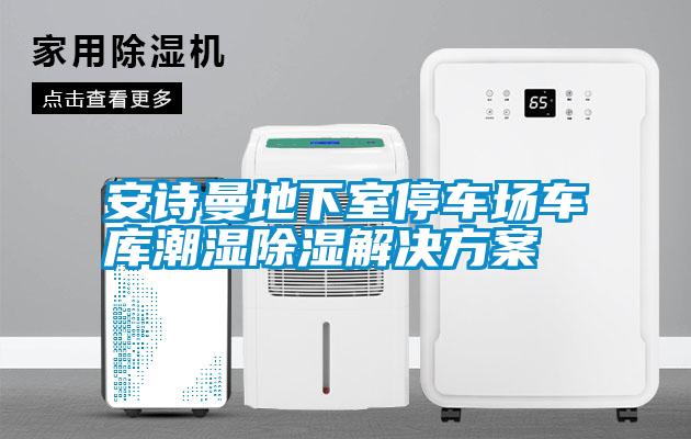 国产精品探花在线观看 安诗曼地下室停车场车库潮湿除湿解决方案