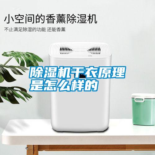 国产精品三级在线观看 除湿机干衣原理是怎么样的