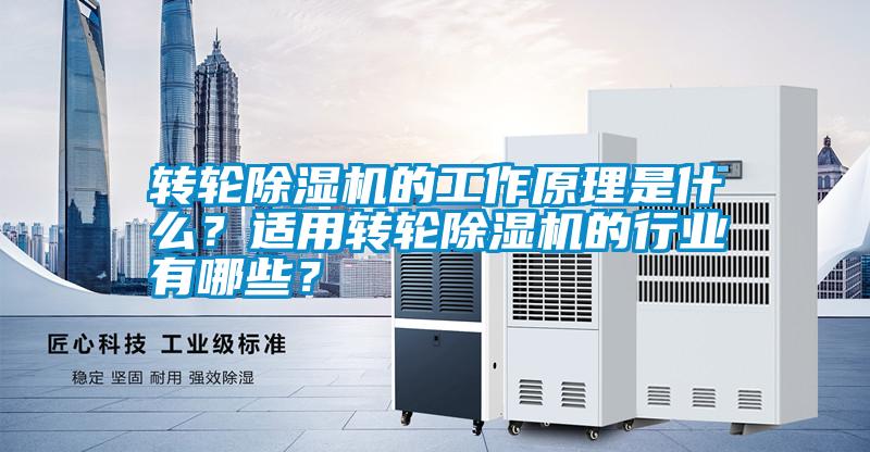 国产精品欧美激情视频 转轮除湿机的工作原理是什么？适用转轮除湿机的行业有哪些？