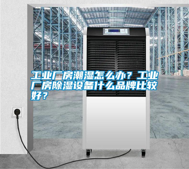国产精品三级在线观看 工业厂房潮湿怎么办？工业厂房除湿设备什么品牌比较好？