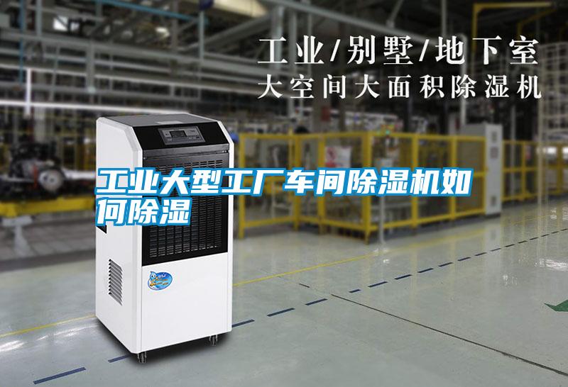 国产精品欧美激情视频 工业大型工厂车间除湿机如何除湿