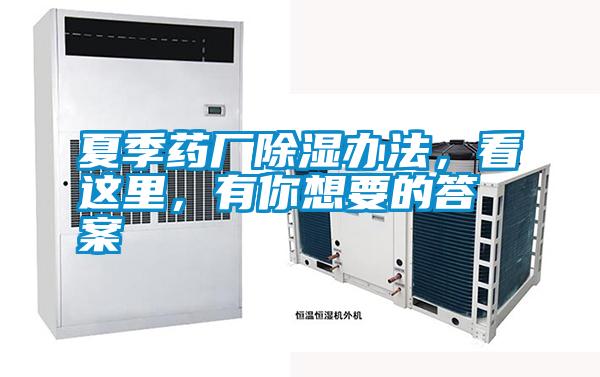 国产精品欧美激情视频 夏季药厂除湿办法，看这里，有你想要的答案