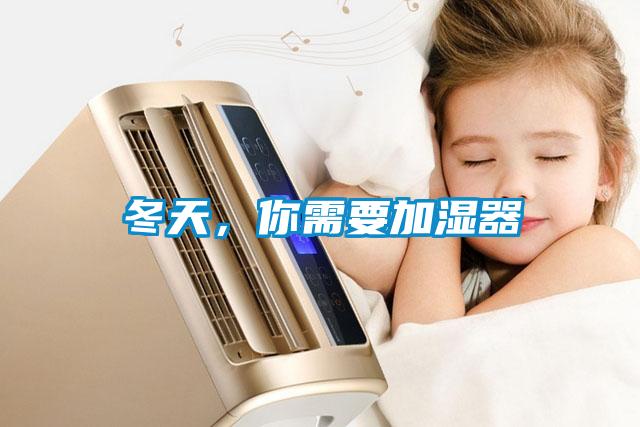 国产精品三级在线观看 冬天，你需要加湿器