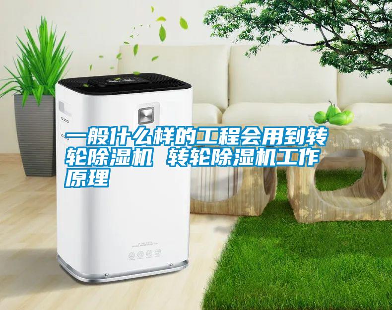 国产精品欧美激情视频 一般什么样的工程会用到转轮除湿机 转轮除湿机工作原理
