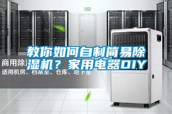 国产精品探花在线观看 教你如何自制简易除湿机？家用电器DIY