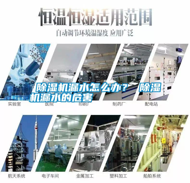  国产精品三级在线观看 除湿机漏水怎么办？ 除湿机漏水的危害