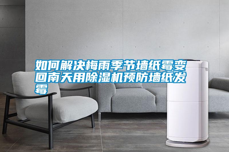 国产精品三级在线观看 如何解决梅雨季节墙纸霉变 回南天用除湿机预防墙纸发霉