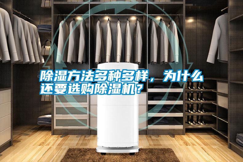 国产精品探花在线观看 除湿方法多种多样，为什么还要选购除湿机？