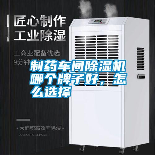 国产精品欧美激情视频 制药车间除湿机哪个牌子好，怎么选择