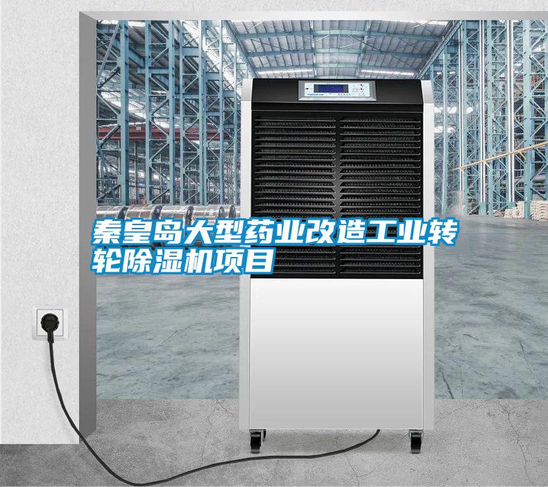 国产精品欧美激情视频 秦皇岛大型药业改造工业转轮除湿机项目
