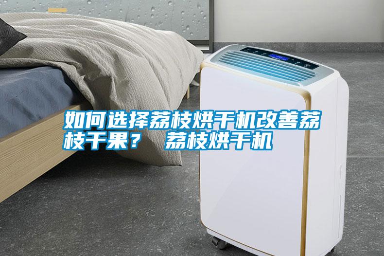 国产精品探花在线观看 如何选择荔枝烘干机改善荔枝干果？ 荔枝烘干机