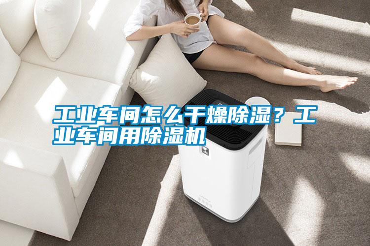 国产精品三级在线观看 工业车间怎么干燥除湿？工业车间用除湿机