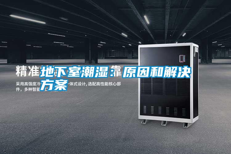 国产精品三级在线观看 地下室潮湿：原因和解决方案