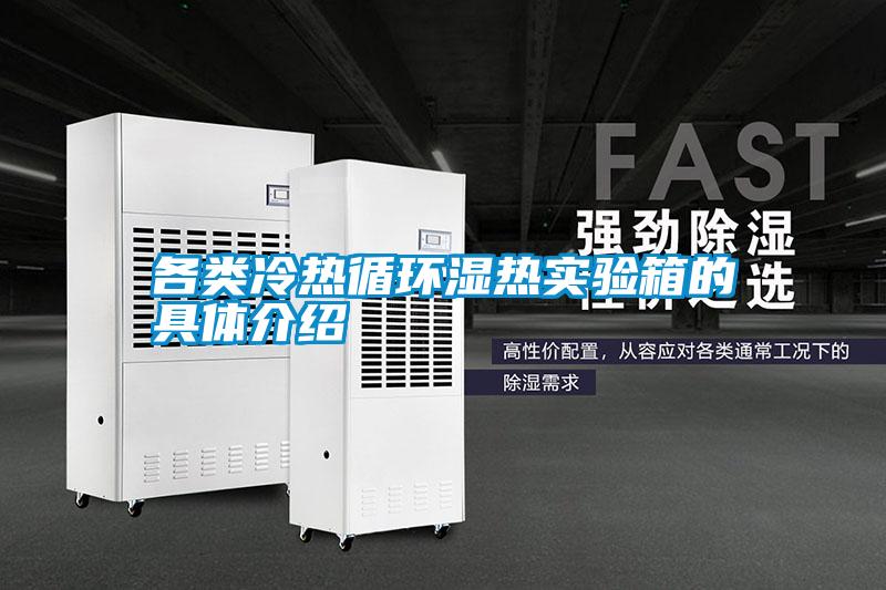 国产精品欧美激情视频 各类冷热循环湿热实验箱的具体介绍