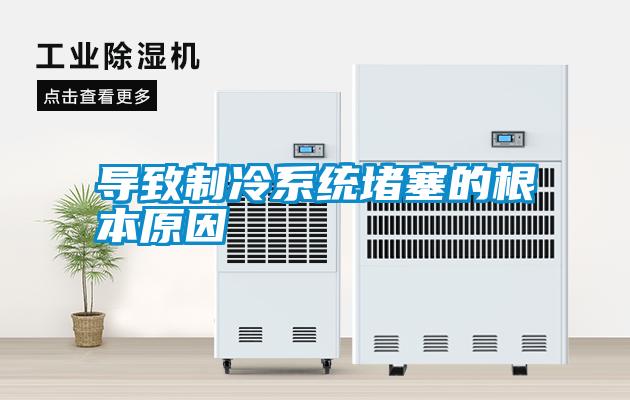 国产精品欧美激情视频 导致制冷系统堵塞的根本原因