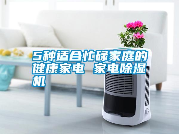国产精品三级在线观看 5种适合忙碌家庭的健康家电 家电除湿机