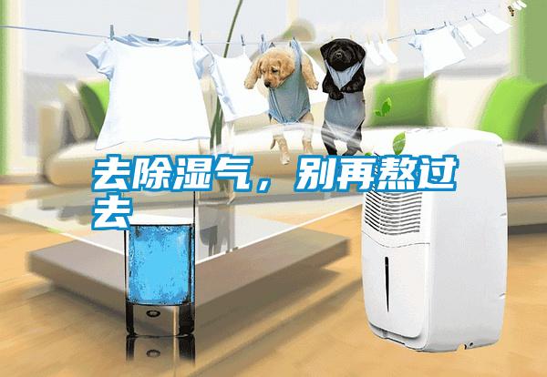 国产精品三级在线观看 去除湿气，别再熬过去