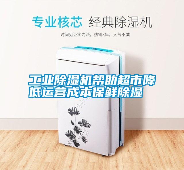 国产精品探花在线观看 工业除湿机帮助超市降低运营成本保鲜除湿