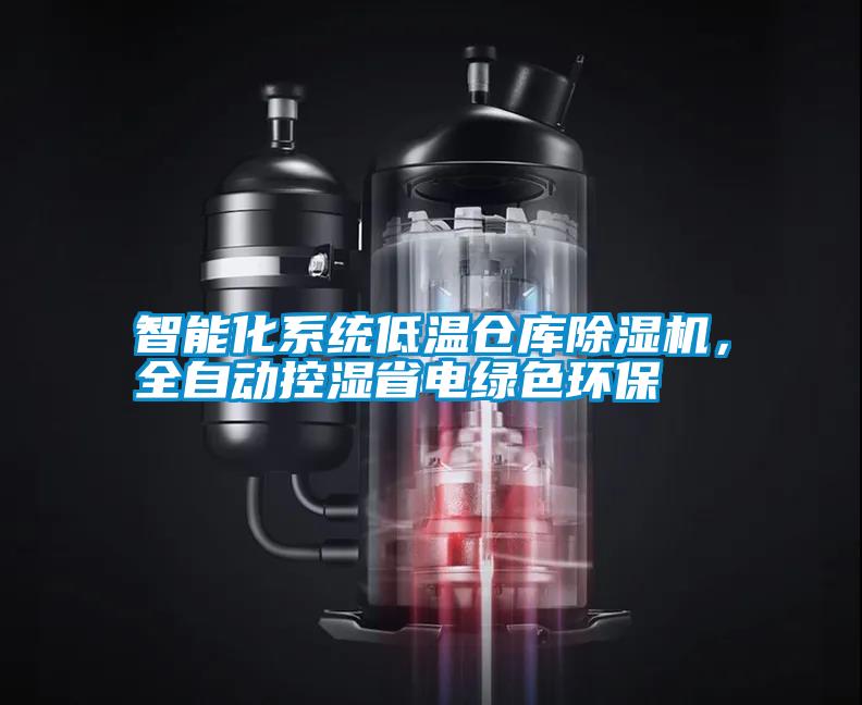 国产精品欧美激情视频 智能化系统低温仓库除湿机，全自动控湿省电绿色环保