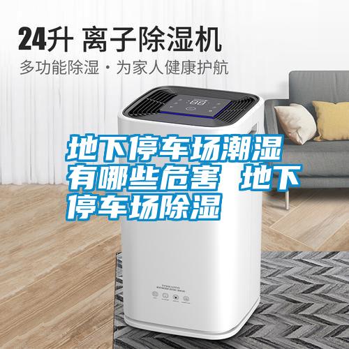 国产精品欧美激情视频 地下停车场潮湿有哪些危害 地下停车场除湿
