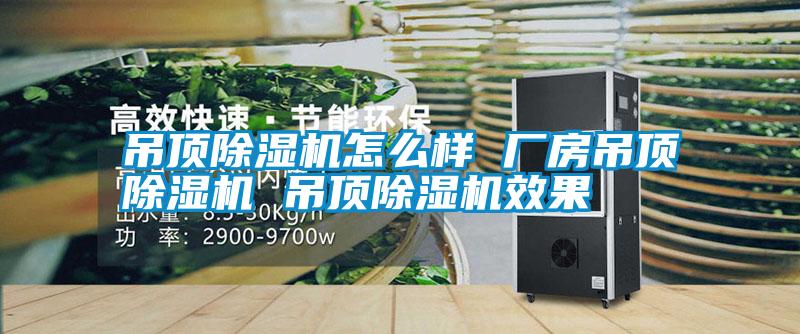 国产精品探花在线观看 吊顶除湿机怎么样 厂房吊顶除湿机 吊顶除湿机效果