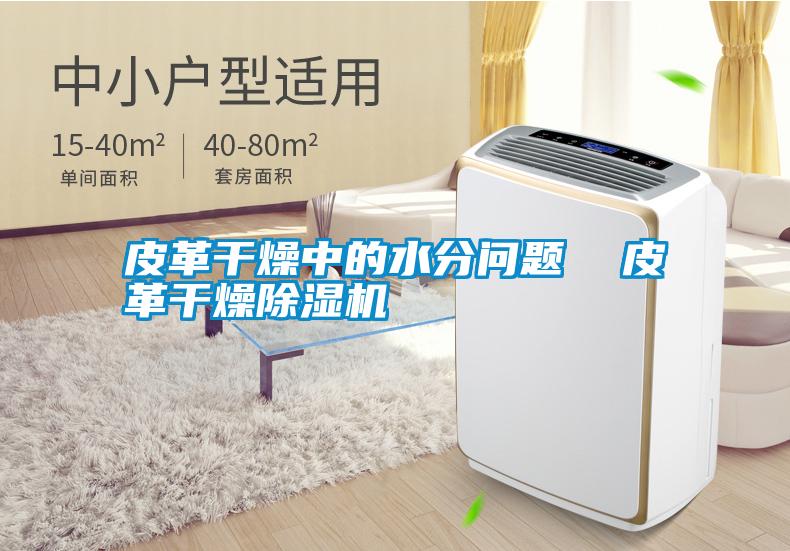 国产精品欧美激情视频 皮革干燥中的水分问题  皮革干燥除湿机