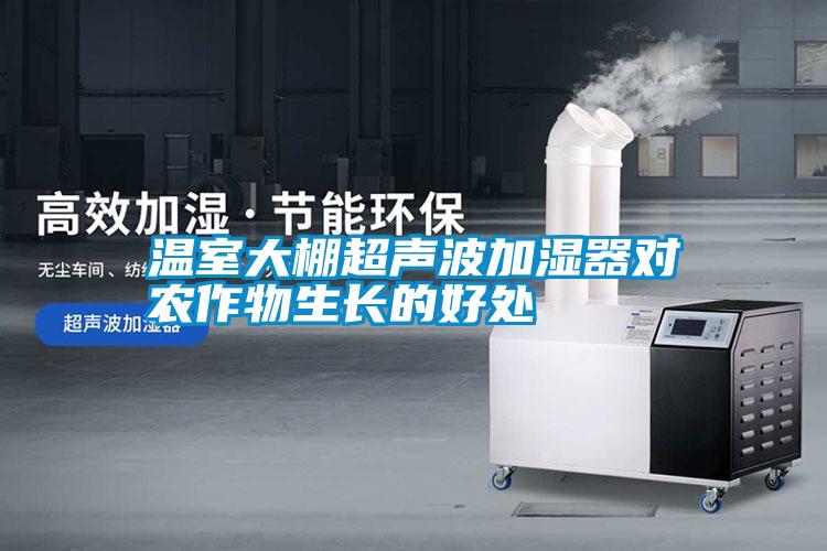 国产精品探花在线观看 温室大棚超声波加湿器对农作物生长的好处