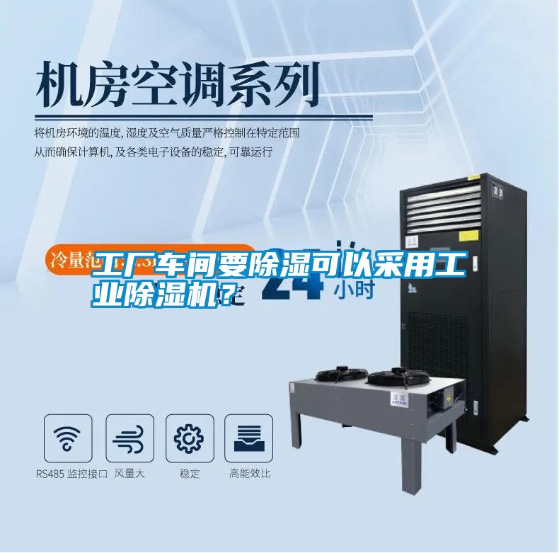 国产精品欧美激情视频 工厂车间要除湿可以采用工业除湿机？