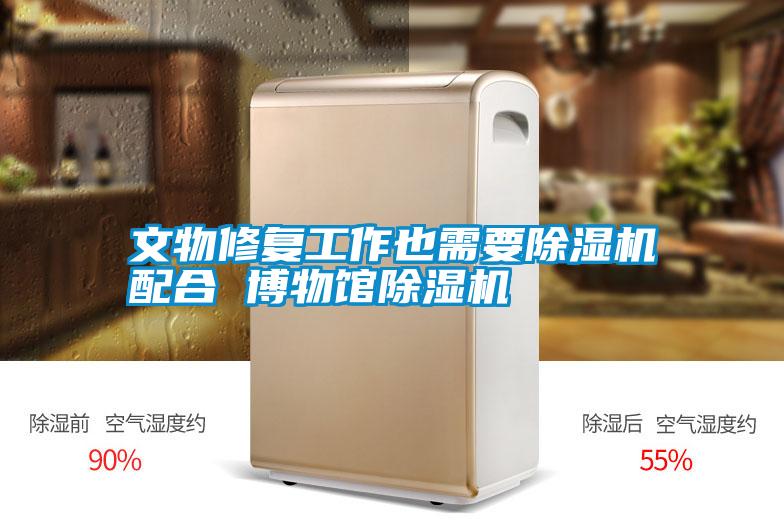 国产精品探花在线观看 文物修复工作也需要除湿机配合 博物馆除湿机