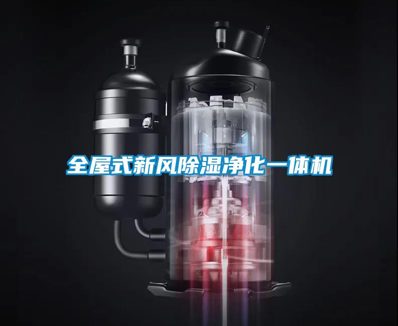国产精品三级在线观看 全屋式新风除湿净化一体机