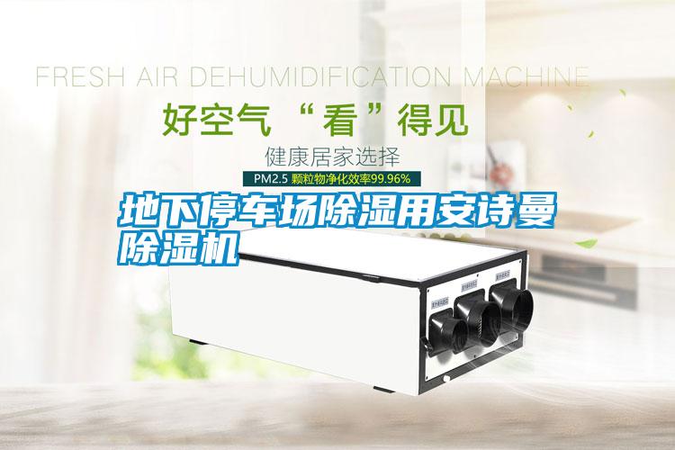 国产精品三级在线观看 地下停车场除湿用安诗曼除湿机