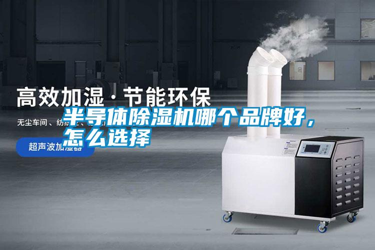 国产精品欧美激情视频 半导体除湿机哪个品牌好，怎么选择