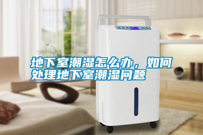 国产精品三级在线观看 地下室潮湿怎么办，如何处理地下室潮湿问题
