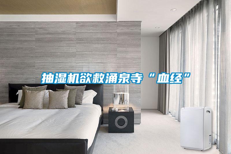 国产精品三级在线观看 抽湿机欲救涌泉寺“血经”