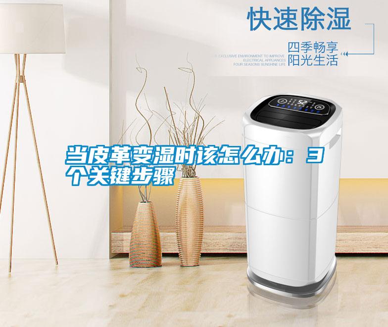 国产精品欧美激情视频 当皮革变湿时该怎么办：3个关键步骤