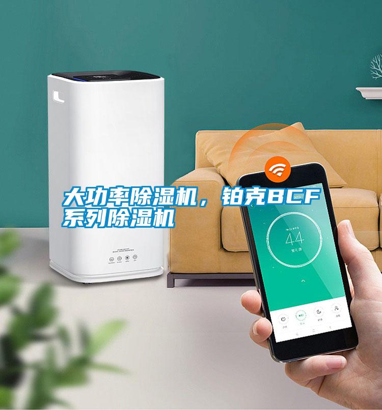 国产精品三级在线观看 大功率除湿机，铂克BCF系列除湿机