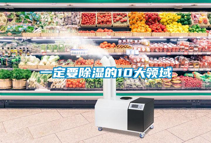 国产精品三级在线观看 一定要除湿的10大领域