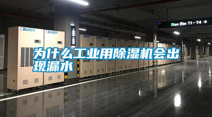 国产精品探花在线观看 为什么工业用除湿机会出现漏水