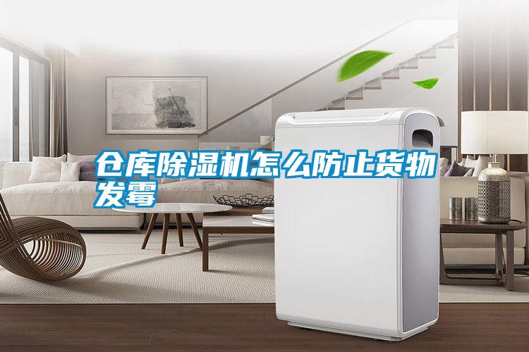 国产精品三级在线观看 仓库除湿机怎么防止货物发霉