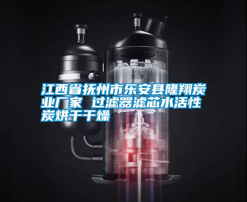 国产精品三级在线观看 江西省抚州市乐安县隆翔炭业厂家 过滤器滤芯水活性炭烘干干燥