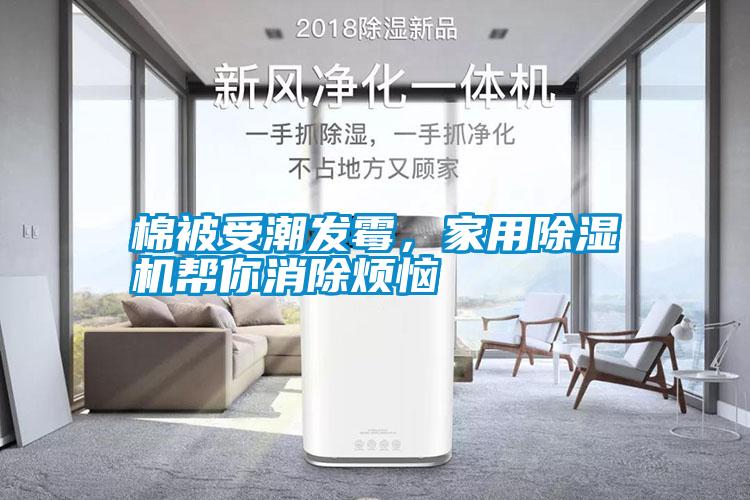国产精品三级在线观看 棉被受潮发霉，家用除湿机帮你消除烦恼
