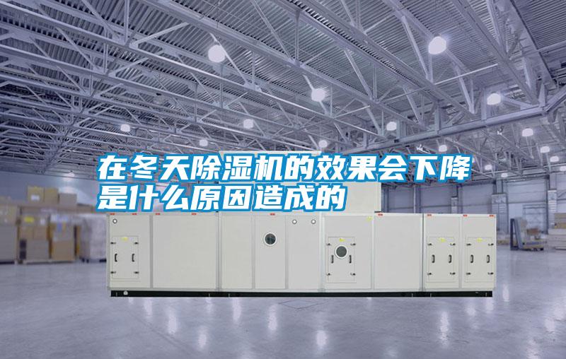 国产精品探花在线观看 在冬天除湿机的效果会下降是什么原因造成的