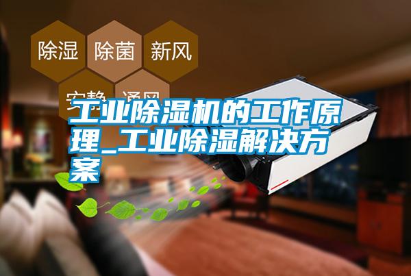国产精品探花在线观看 工业除湿机的工作原理_工业除湿解决方案