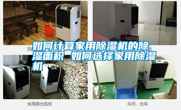 国产精品探花在线观看 如何计算家用除湿机的除湿面积 如何选择家用除湿机