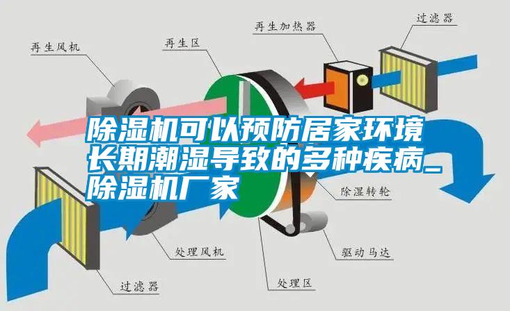 国产精品欧美激情视频 除湿机可以预防居家环境长期潮湿导致的多种疾病_除湿机厂家