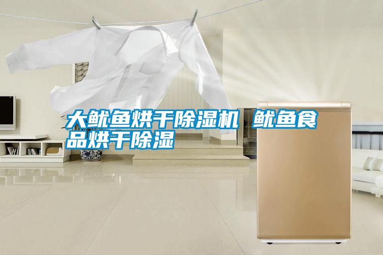 国产精品探花在线观看 大鱿鱼烘干除湿机 鱿鱼食品烘干除湿